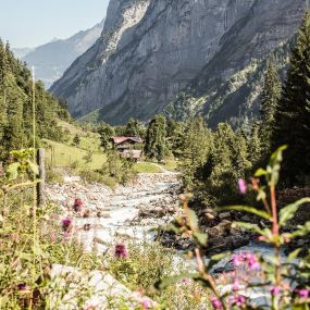 Lauterbrunnen - Trachsellauenen