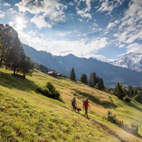 Wandern Wengen