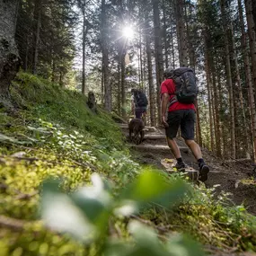 Wengen - Wandern