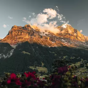 Eiger im Sonnenuntergang