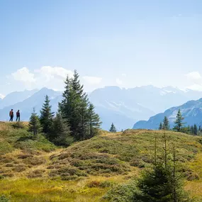 Hochmoor Haslital