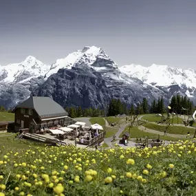 Das Panorama Restaurant Allmendhubel und der Abenteurspielplatz Flower Parkm Sommer. Im Hintergrund das Dreigestirn Eiger, Mönch und Jungfrau.