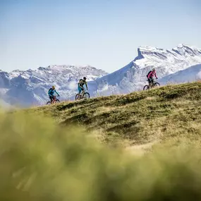 Mürren - Mountainbike