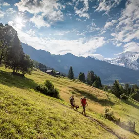 Wandern Wengen