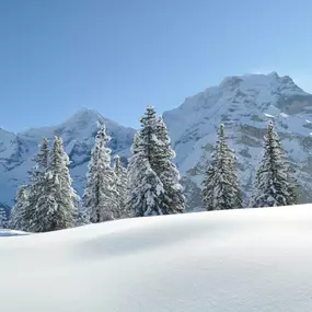 Aussicht von der Chänelegg auf Eiger, Mönch und Jungfrau