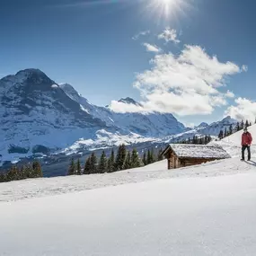 Bild von Jungfrau Region