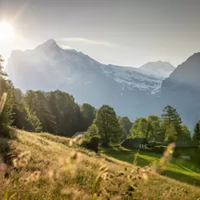 Sonnenaufgang über Grindelwald.