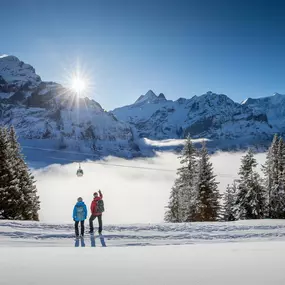 Winterwanderung auf verschneiten Winterwanderwegen rund um Grindelwald. Die Wanderer geniessen den sonnigen Tag und imposanten Ausblick auf den Eiger.