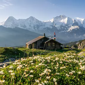 Aussicht auf Eiger, Mönch und Jungfrau von der Lobhornhütte.