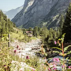 Lauterbrunnen - Trachsellauenen