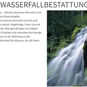 Bild von Bestattungsdienst Timon Wälchli GmbH