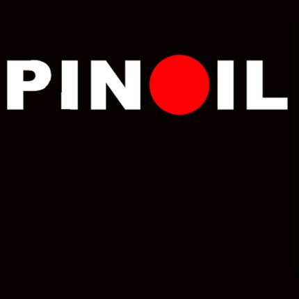 Logo fra PINOIL Service-Station Maria Nieberle