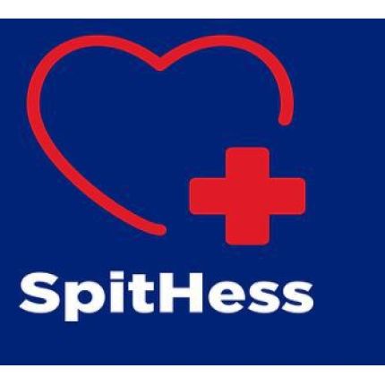 Logo from SpitHess GmbH