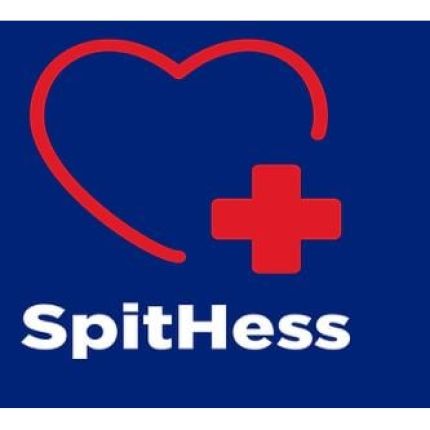 Logo fra SpitHess GmbH