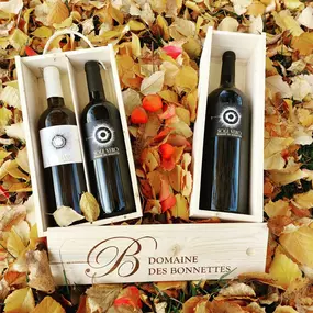 Bild von Domaine des Bonnettes - Vin Genève Suisse