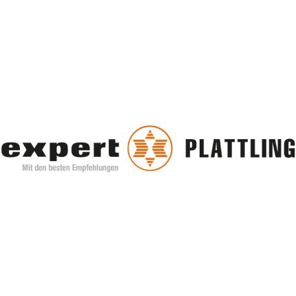 Logo from expert Plattling