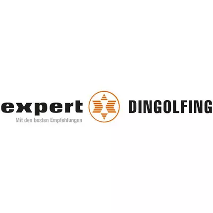 Logotyp från expert Dingolfing