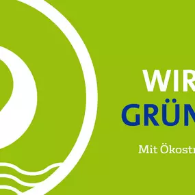 Wir geben grünes Licht mit Ökostrom in Gifhorn