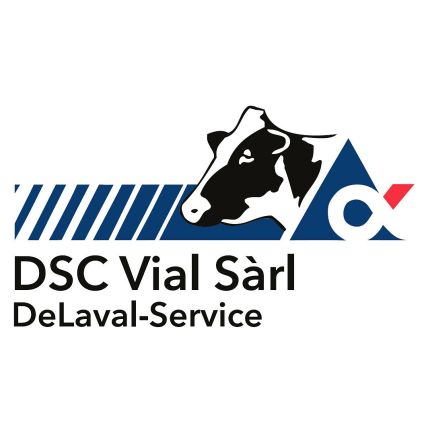 Logo od DSC Vial Sarl