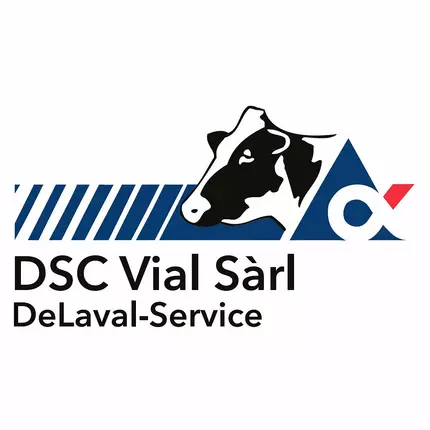 Logo von DSC Vial Sarl