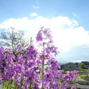 Bild von Hospenthal - Kägi AG