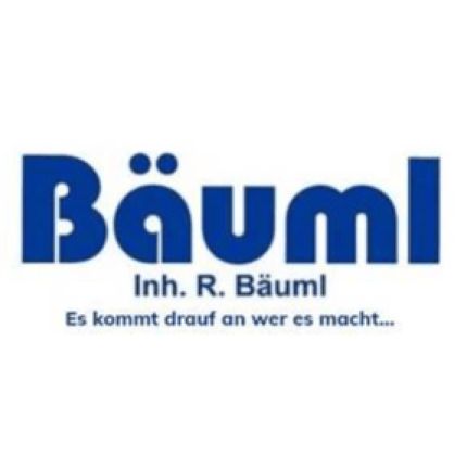 Logo from Reinhold Bäuml