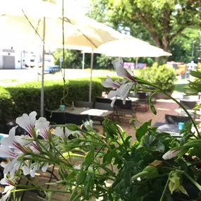 Bild von Restaurant Pizzeria de la Gare Allaman Sàrl