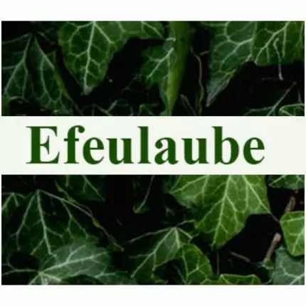 Logotipo de Blumengeschäft Efeulaube