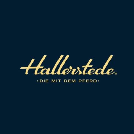Logo fra Hallerstede Lederwaren Oldenburg