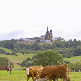 Bild von Herzoglich Bayerisches Forstgut Banz