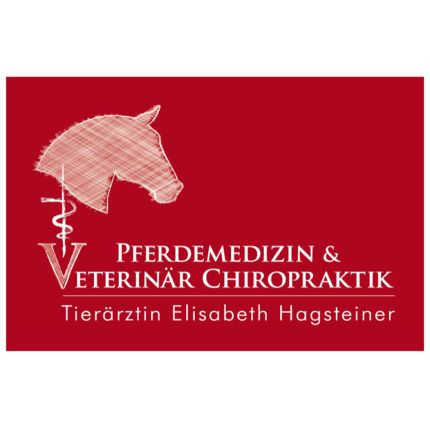 Logotyp från Pferdetierarzt Elisabeth Hagsteiner - Kirchdorf in Tirol