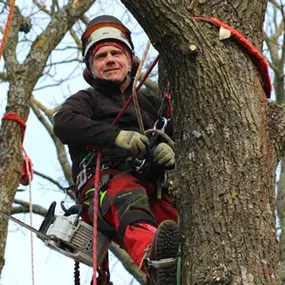 Bild von Fischer Danny Baum- und Gartenpflege