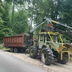 Bild von Vontobel Forst- und Gartenbau GmbH