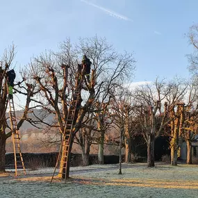 Bild von Scheuner Gartenbau AG