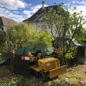 Bild von Scheuner Gartenbau AG