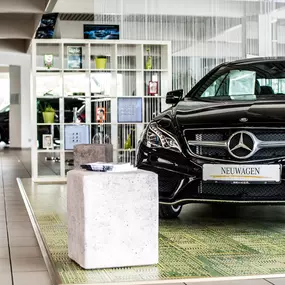 Mercedes-Benz Beresa Nordhorn Ausstellung