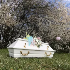 Bild von Atelier Magnolia Bestattungen - Besonders wie das Leben