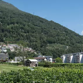 Bild von Città di Bellinzona