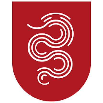 Logo da Città di Bellinzona
