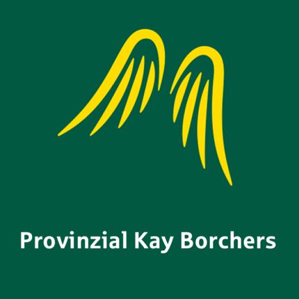 Logotyp från Provinzial Versicherung AG - Kay Borchers e.K.