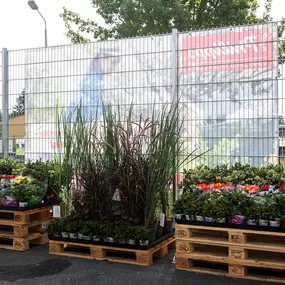 Bild von Thomas Philipps Lübz