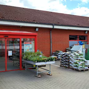 Bild von Thomas Philipps Tangermünde