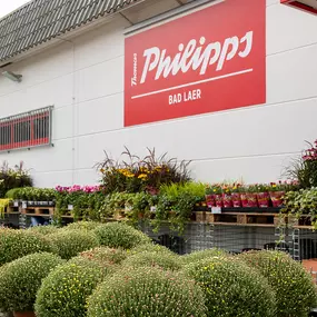 Bild von Thomas Philipps Bad Laer