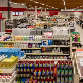 Bild von Thomas Philipps Bad Laer