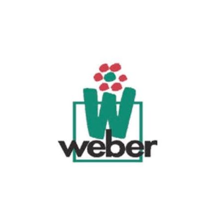 Logo von Anton H. D. Weber Blumen