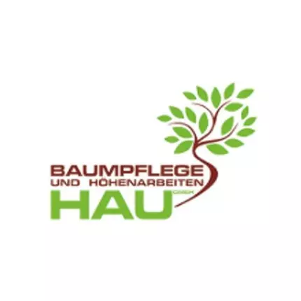 Logo van Baumpflege und Höhenarbeiten Hau GmbH