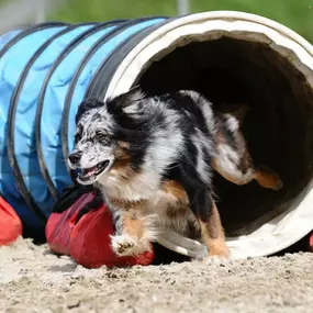 Bild von Tierklinik Rhenus AG