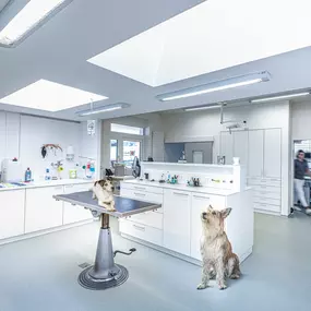 Bild von Tierklinik Rhenus AG