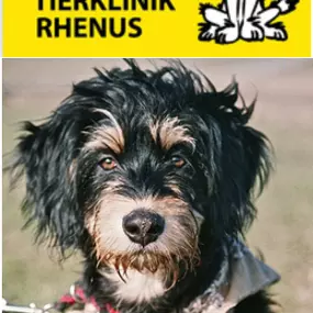 Bild von Tierklinik Rhenus AG