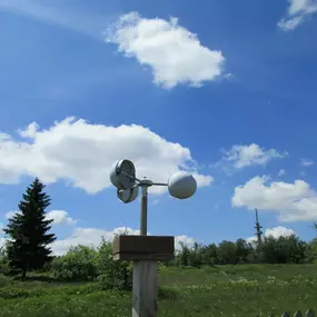 Bild von Wetterman & Co Norbert Märcz